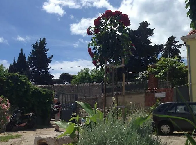 Serendipity Centre-free Parking * Ντουμπρόβνικ