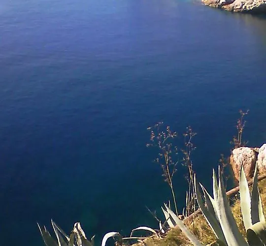 Serendipity Centre-free Parking Apartman